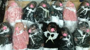 12pcs Brand new baby dolls - living in harmony dolls
