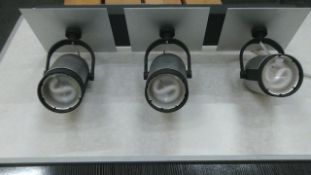Philips Ex showroom light - includes bulbs as pictured  -