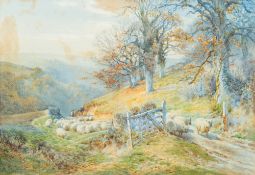 Charles James Adams [1859-1951]-  A shep