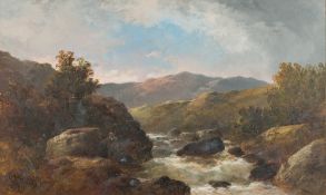 George Henry Jenkins [1843-1914]-    Fis