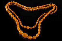 A graduated amber bead single-string nec