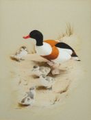 * Raymond C. Watson [1935-1994]-  Duck w