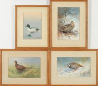 *John Cyril Harrison [1898-1995]-  Snipe