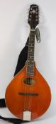 A Kentucky KM-172 Mandolin:, mother of p