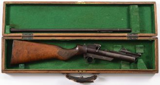 Webley & Scott, A .22 calibre 'Webley Se
