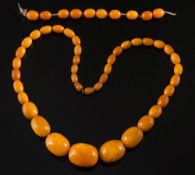 A graduated amber bead single string nec