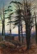 Edgar John Varley [1839-1889]-