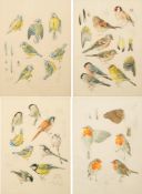 * Mildred E. Eldridge [1909-1991]-  Robi