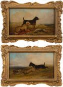 Circle of Henry Alken [1810-1894]-
Hare