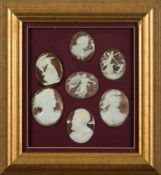 A group of seven framed oval shell portr