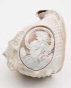 A 19th century carved Nautilus shell:, decorated after The Antique with an oval portrait of a woman,