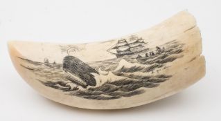 A scrimshaw decorated tooth:, one side with a whaler after a Sperm whale,