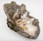 A giant clam shell (Tridacna Gigas) section:, 84cm wide (weathered).