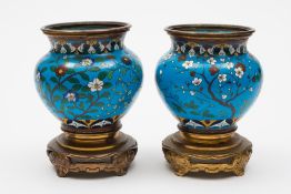 A pair of Japanese cloisonne and ormolu censers: with all over flowering shrubs to a powder blue
