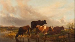 D Muller [19/20th Century]-
Cattle watering in a lowland landscape:-
signed bottom right
oil on