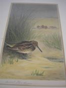 THORBURN, Archibald - A group of five coloured prints of game birds etc,