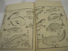A volume of Japanese prints: Fishes, paper covers, 22.5 x 14cm, early 20th century.