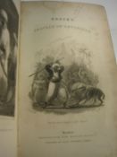 BRUCE, James - Travels Through Part of Africa, Syria, Egypt, and Arabia, into Abyssinia : frontis,