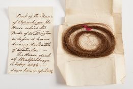 WELLINGTON'S HORSE COPENHAGEN : A lock of hair from his mane,