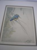 STOKES, George Vernon : [1873-1954], Kingfisher, coloured etching,