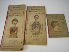 BAILLIERE -  Popular Manikin,