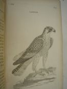 PENNANT, Thomas - British Zoology,:4 VOLS, c. 282 plts, hf.cf., 8vo.