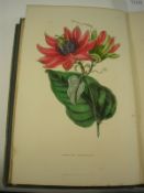 The Florist's Journal and Gardener's Record 1840 & 1845, Illustrated with 26 hand-col.