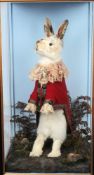 A preserved and dressed white rabbit in the Edwardian style:,