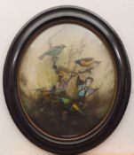 A late Victorian oval ebonised and glazed taxidermy display of Australian wild birds:,