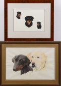 A watercolour portrait of a Labrador and Doberman together with a watercolour portrait of a