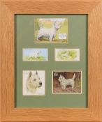Five various Westland terrier themed cards in a single frame,