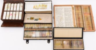 A quantity of medical and natural history microscope slides:,