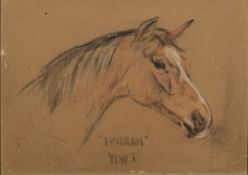 W Wasdell Trickett [19/20th Century]-
'Epigram', a bay hunter:-
signed and inscribed
pastel drawing,