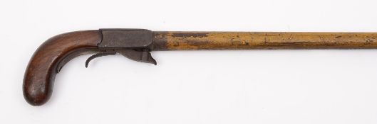 A 19th Century percussion walking stick shotgun:, the steel boxlock action with under hammer,