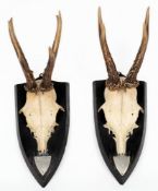 Two deer frontlets with antlers: mounted on shield shaped plaques.