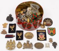 A collection of various military and civilian cap badges , shoulder and lapel badges: etc.