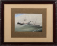 A 19th century ship's portrait, 'SS Vianda' rising on a swell:,