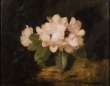 Stuart Park [1862-1933]-
Rhododendron:-
signed bottom right
further signed and inscribed in ink