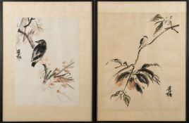 Li Ai Vee, study of finch in fruiting tree:, woodblock print, signed in pencil Li, 49.