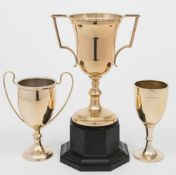 Three assorted silver twin-handled trophy cups, various makers and dates: total weight of silver 7.