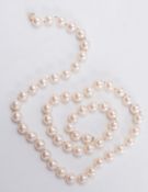A single string of cultured pearls:, approximately 55cm total length.