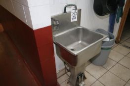 S/S Sink with Foot Controls