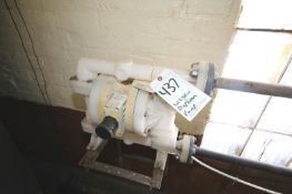 2005 Wilden Poly Diaphragm Pump, S/N 002061277