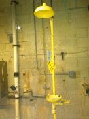 Bradley Emergency Eyewash and Shower Station