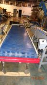 Stainless Steel Based Conveyor with plastic belting 2ft by 11ft and powered diverter. Two speed