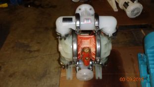 WILDEN PUMP (LOCATED IN IOWA)***EUSA***