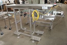 Aprox. 67Â L x 19Â W x 4Â Deep S/S Product Chute, Mounted on S/S Stand