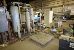 IQ Plus 510 Digital Platform Scale with 48