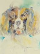 Watercolour drawings