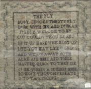 Sampler A Verse, The Fly
